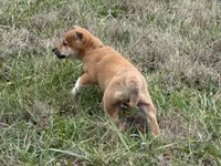 processed/6e05543e-325e-4636-98c9-2d50ed036119/listing/2797c459-a2a3-4835-a1ed-5f912b78d510/47634abd-8acf-4929-ace4-bbbaea8af357