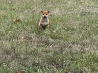 processed/6e05543e-325e-4636-98c9-2d50ed036119/listing/2797c459-a2a3-4835-a1ed-5f912b78d510/4bab1cd6-5947-4d56-a39c-1d8357411e95