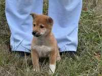 processed/6e05543e-325e-4636-98c9-2d50ed036119/listing/2797c459-a2a3-4835-a1ed-5f912b78d510/50fa8480-e86e-45d8-b31a-1ff78d88dd05