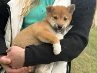 processed/6e05543e-325e-4636-98c9-2d50ed036119/listing/2797c459-a2a3-4835-a1ed-5f912b78d510/5dce5ac4-2bbc-4f07-9e5d-e051c9aa51de