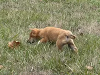 processed/6e05543e-325e-4636-98c9-2d50ed036119/listing/2797c459-a2a3-4835-a1ed-5f912b78d510/835baf48-34ae-43fc-a215-b94747fa4059