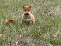 processed/6e05543e-325e-4636-98c9-2d50ed036119/listing/2797c459-a2a3-4835-a1ed-5f912b78d510/859412c6-2a71-46a1-94d3-148f38cca591