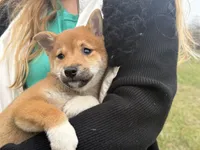 processed/6e05543e-325e-4636-98c9-2d50ed036119/listing/2797c459-a2a3-4835-a1ed-5f912b78d510/e0f6ee49-3433-4aa9-8a68-48b64084df32