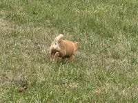 processed/6e05543e-325e-4636-98c9-2d50ed036119/listing/2797c459-a2a3-4835-a1ed-5f912b78d510/f231fc4c-1af5-43c0-aabe-40c314f31f1e