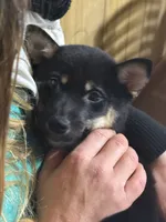 processed/6e05543e-325e-4636-98c9-2d50ed036119/listing/3a31cfc7-2bd8-45b7-9971-64469b6f4d65/2fb2f9bb-563b-4bb3-8b2d-b6550ff95c02