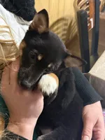 processed/6e05543e-325e-4636-98c9-2d50ed036119/listing/3a31cfc7-2bd8-45b7-9971-64469b6f4d65/8a399add-adab-469b-953d-cd11e02a1d82