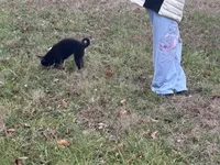 processed/6e05543e-325e-4636-98c9-2d50ed036119/listing/3a31cfc7-2bd8-45b7-9971-64469b6f4d65/c49a11c3-7f89-4827-930a-1e219e7ccec0