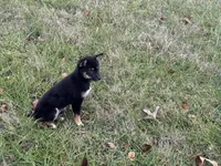 processed/6e05543e-325e-4636-98c9-2d50ed036119/listing/3a31cfc7-2bd8-45b7-9971-64469b6f4d65/d058ff7a-05d0-45cf-a71b-8b800e79d8f1