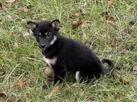 processed/6e05543e-325e-4636-98c9-2d50ed036119/listing/3a31cfc7-2bd8-45b7-9971-64469b6f4d65/d9146e76-5fbd-4ab9-afca-65f55d8eea38