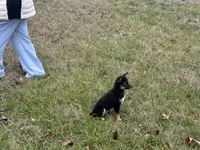 processed/6e05543e-325e-4636-98c9-2d50ed036119/listing/3a31cfc7-2bd8-45b7-9971-64469b6f4d65/e272fdcc-74bf-405a-84fc-bc0840c52191