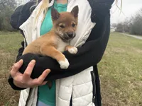 processed/6e05543e-325e-4636-98c9-2d50ed036119/listing/66fb1592-1ecb-4bf5-bd34-77be085eaef9/1085bf2e-d7dd-4785-905e-86ff63122027