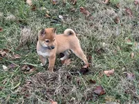 processed/6e05543e-325e-4636-98c9-2d50ed036119/listing/66fb1592-1ecb-4bf5-bd34-77be085eaef9/3afc1fec-f21f-4d5f-a712-7c8db95817bf