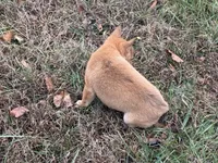 processed/6e05543e-325e-4636-98c9-2d50ed036119/listing/66fb1592-1ecb-4bf5-bd34-77be085eaef9/6a6ee71c-e09e-4f32-a5e2-89f6752abbe7