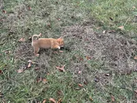 processed/6e05543e-325e-4636-98c9-2d50ed036119/listing/66fb1592-1ecb-4bf5-bd34-77be085eaef9/bfcec1d8-0814-4cc2-99d4-5b3076dc236d