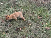 processed/6e05543e-325e-4636-98c9-2d50ed036119/listing/66fb1592-1ecb-4bf5-bd34-77be085eaef9/e699496a-7b17-4697-a1e5-efd3be08e243