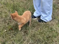 processed/6e05543e-325e-4636-98c9-2d50ed036119/listing/a3e49585-9e93-458b-8652-4c2a68350f1d/0980d91f-bcca-4003-bd34-8d9d47ad13e3