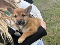 processed/6e05543e-325e-4636-98c9-2d50ed036119/listing/a3e49585-9e93-458b-8652-4c2a68350f1d/8f571f69-5f9f-4f5e-a2b3-115fe2ca8388