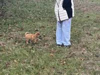 processed/6e05543e-325e-4636-98c9-2d50ed036119/listing/a3e49585-9e93-458b-8652-4c2a68350f1d/a5025a37-be6c-4379-95ba-3977a70acfca