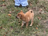 processed/6e05543e-325e-4636-98c9-2d50ed036119/listing/a3e49585-9e93-458b-8652-4c2a68350f1d/b071eec9-26e9-4dca-8c50-36517ffd6201