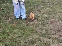 processed/6e05543e-325e-4636-98c9-2d50ed036119/listing/a3e49585-9e93-458b-8652-4c2a68350f1d/c782f43b-a8ce-41b0-90d0-0d007e2a0c13