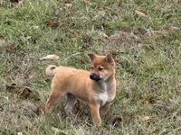 processed/6e05543e-325e-4636-98c9-2d50ed036119/listing/a3e49585-9e93-458b-8652-4c2a68350f1d/d331430e-eab9-4532-b85e-0b73793a02ee