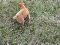 processed/6e05543e-325e-4636-98c9-2d50ed036119/listing/a3e49585-9e93-458b-8652-4c2a68350f1d/dc595f80-f339-404e-80bd-aae2f3bae792