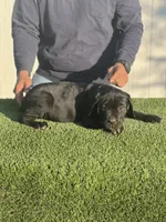 processed/6e095e46-07b7-45f8-a5a3-9fdb3794c107/listing/61d3c23e-3bc7-4e31-8979-be071bd06587/46e1f5bf-3ded-4ca9-8d8e-a50882bdb487