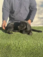 processed/6e095e46-07b7-45f8-a5a3-9fdb3794c107/listing/61d3c23e-3bc7-4e31-8979-be071bd06587/fcd1cef9-a620-40ac-b31b-fa449a19e542