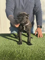 processed/6e095e46-07b7-45f8-a5a3-9fdb3794c107/listing/f87ae8a1-bed6-4e96-b9f8-a2a1b0cd5891/58b025df-0c3a-4e95-bbce-43c57aec28ba