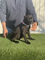 processed/6e095e46-07b7-45f8-a5a3-9fdb3794c107/listing/f87ae8a1-bed6-4e96-b9f8-a2a1b0cd5891/7cba46ab-600d-457b-ab82-82f24e86c2ab