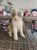 processed/6e0a0e7c-a596-4347-b6b5-3f768ea1b699/listing/8904c257-b04b-455f-b46d-9a9b959a3909/01af2044-e996-4f38-9f1e-a820002bcfdc