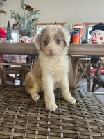 processed/6e0a0e7c-a596-4347-b6b5-3f768ea1b699/listing/8904c257-b04b-455f-b46d-9a9b959a3909/0935ef4c-4c31-4f94-b3d0-73206945f730