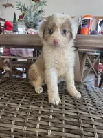 processed/6e0a0e7c-a596-4347-b6b5-3f768ea1b699/listing/8904c257-b04b-455f-b46d-9a9b959a3909/7ca09896-1cfb-4184-91f8-c74837181802