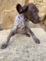 processed/6e0ddd7d-6c1f-4e87-aecb-7c5712dc7526/listing/d0d13326-cd93-44c4-b399-334df5c3e1ef/3a262e18-33a3-437a-8771-8d233a490045