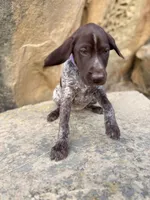 processed/6e0ddd7d-6c1f-4e87-aecb-7c5712dc7526/listing/d0d13326-cd93-44c4-b399-334df5c3e1ef/3fe85800-828e-4e1b-9c75-cb40ae5c419d