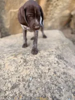 processed/6e0ddd7d-6c1f-4e87-aecb-7c5712dc7526/listing/d0d13326-cd93-44c4-b399-334df5c3e1ef/40edeb45-47f5-4179-b387-0f25af2e19d0