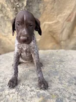 processed/6e0ddd7d-6c1f-4e87-aecb-7c5712dc7526/listing/d0d13326-cd93-44c4-b399-334df5c3e1ef/840b16a9-bb86-470c-b6d2-0122063b2c39