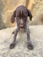 processed/6e0ddd7d-6c1f-4e87-aecb-7c5712dc7526/listing/d0d13326-cd93-44c4-b399-334df5c3e1ef/88e10189-70c6-49a6-b763-a3ca10b5ef4f