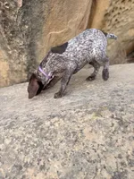 processed/6e0ddd7d-6c1f-4e87-aecb-7c5712dc7526/listing/d0d13326-cd93-44c4-b399-334df5c3e1ef/ae0de6c4-32ad-4cff-b659-75250551e4c9