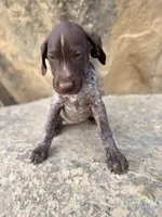 processed/6e0ddd7d-6c1f-4e87-aecb-7c5712dc7526/listing/d0d13326-cd93-44c4-b399-334df5c3e1ef/bdc0d333-243b-4b71-8bf1-3260a52746d2