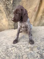 processed/6e0ddd7d-6c1f-4e87-aecb-7c5712dc7526/listing/d0d13326-cd93-44c4-b399-334df5c3e1ef/d9b09e49-061e-4047-8043-5d71b57e3aca