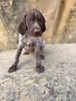 processed/6e0ddd7d-6c1f-4e87-aecb-7c5712dc7526/listing/d0d13326-cd93-44c4-b399-334df5c3e1ef/db1a1d7a-314e-4264-8a35-9cedb7eb88b5