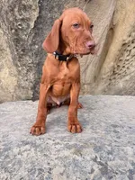 processed/6e0ddd7d-6c1f-4e87-aecb-7c5712dc7526/listing/ea011527-144e-4e43-be2e-e71ecb679ee0/43fc3470-96cc-4c7b-8400-daee04f63cb0