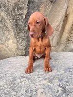 processed/6e0ddd7d-6c1f-4e87-aecb-7c5712dc7526/listing/ea011527-144e-4e43-be2e-e71ecb679ee0/4870ee40-0f8c-4ca8-9b7e-e0a732edcf6d