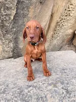 processed/6e0ddd7d-6c1f-4e87-aecb-7c5712dc7526/listing/ea011527-144e-4e43-be2e-e71ecb679ee0/7309a352-9ae0-4171-80af-4514bb06b03e