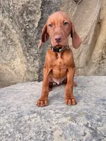 processed/6e0ddd7d-6c1f-4e87-aecb-7c5712dc7526/listing/ea011527-144e-4e43-be2e-e71ecb679ee0/b4bc3bf5-b752-4349-b592-3496dcdcdca3