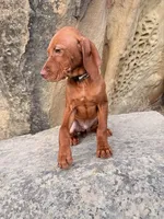 processed/6e0ddd7d-6c1f-4e87-aecb-7c5712dc7526/listing/ea011527-144e-4e43-be2e-e71ecb679ee0/d4c943ce-fd6f-4879-ad72-ab8b25268066