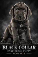 Black collar, a male Cane Corso for sale in Buda, TX – 1 of 10