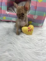 processed/6e13f286-297e-4b86-9a4d-163c6cfa3c6d/facility/060a17ce-39d4-4300-beac-68708129671f