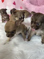 processed/6e13f286-297e-4b86-9a4d-163c6cfa3c6d/facility/18253e35-77d5-4e84-b0ca-ab16378a2c2d